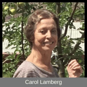 Carol-Lamberg-1-1